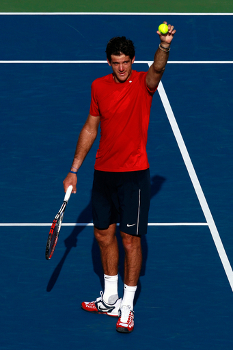 デルポトロ、ハリソン破り3回戦へ 全米オープン