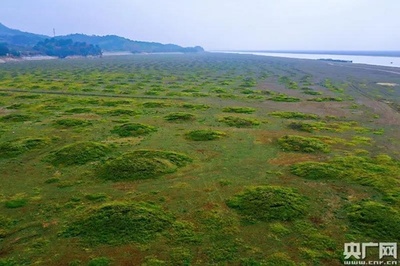 長江上流のダムから中下流へ再度補水 中国水利部