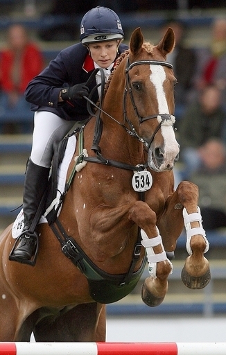 英女王の孫、愛馬の負傷で五輪出場を辞退
