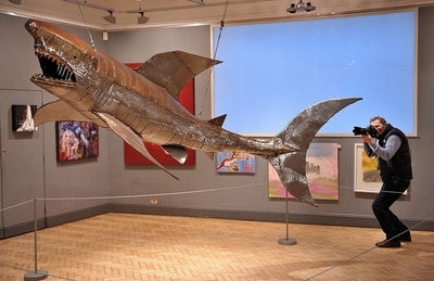 イタチザメなど、長距離を直線的に移動 米研究