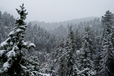 気温31度急低下、24時間で猛暑から降雪へ 米コロラド州