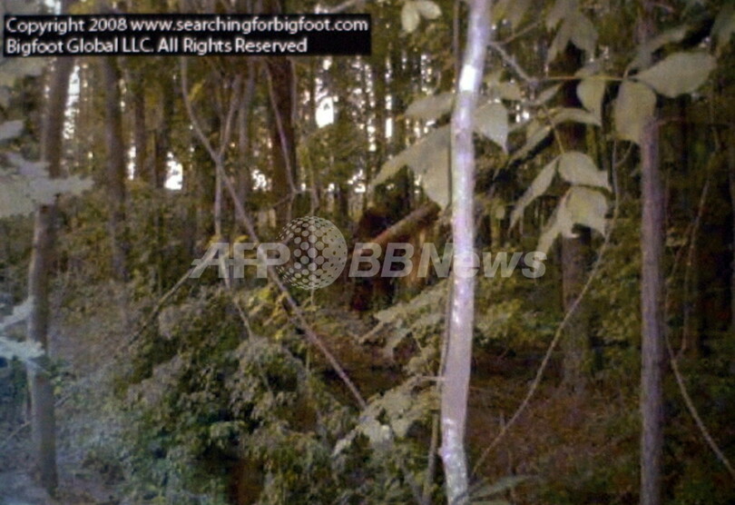 未確認動物「ビッグフット」の死体発見!?