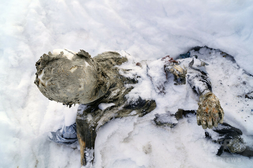 メキシコ最高峰でミイラ化した2遺体見つかる