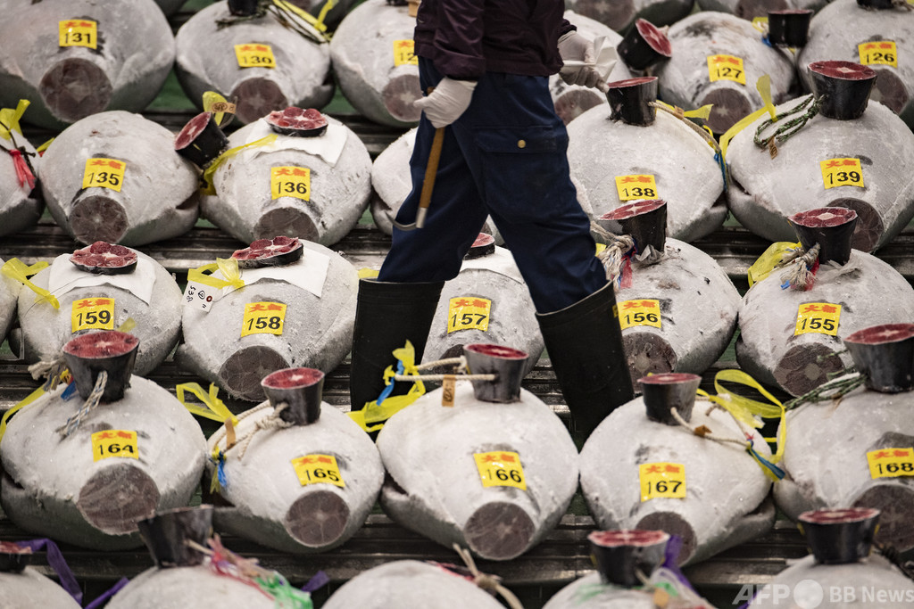 豊洲でマグロ初競り すしざんまい コロナで最高値は 自粛 写真13枚 国際ニュース Afpbb News
