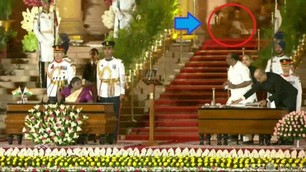 動画:インド首相就任式ネット配信で「ヒョウ」騒動 警察はイエネコと発表 写真1枚 国際ニュース:AFPBB News
