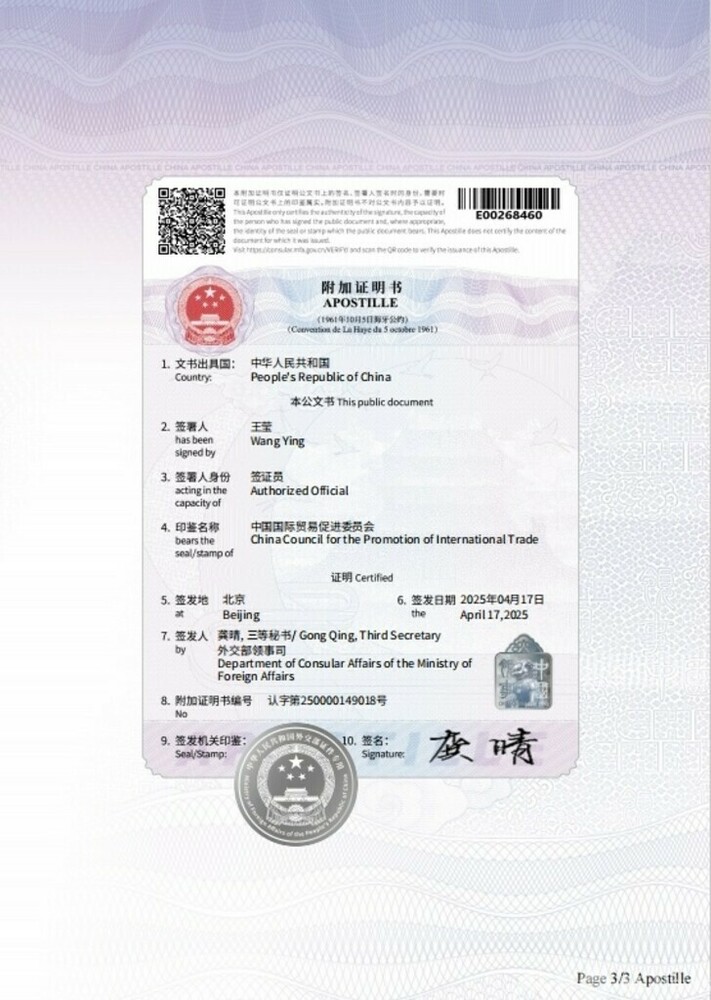 中国外交部 電子付加証明書の発行を試行 写真1枚 国際ニュース：AFPBB News