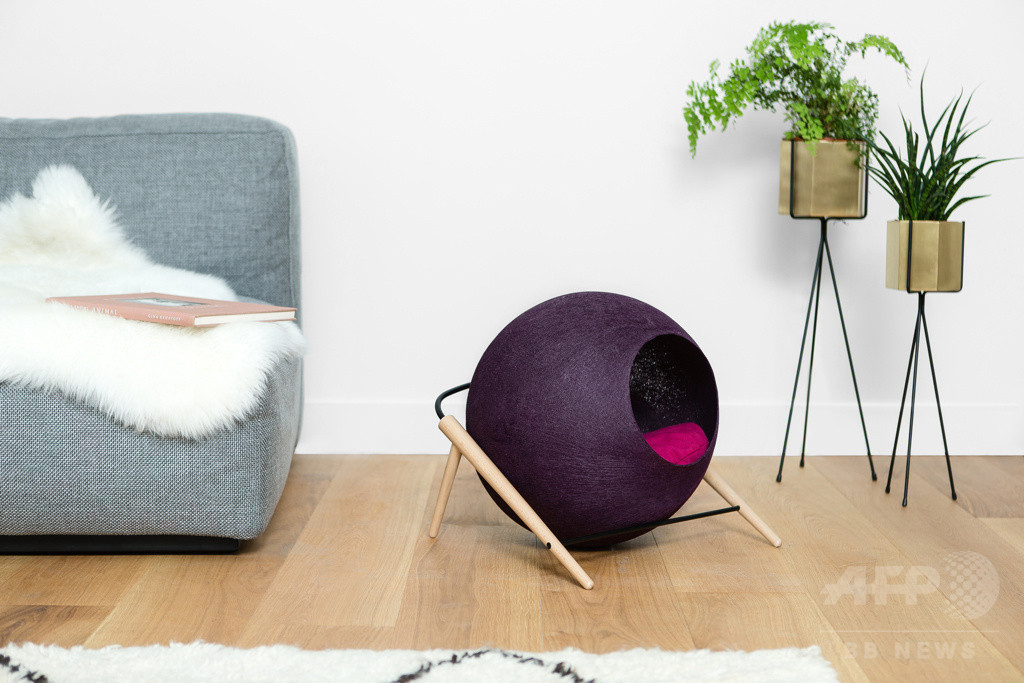 パリ発「MEYOU」日本初上陸、おしゃれなキャットハウス