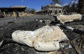 パルミラに転がる古代の像（2016年3月31日撮影）。(c)AFP/Joseph Eid-Beto Barata