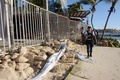 メキシコ東部キンタナロー州プラヤデルカルメンで5人が死亡した銃乱射事件が起きたナイトクラブの周辺を調査する警察官（2017年1月16日撮影）。(c)AFP