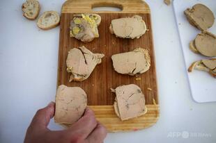 フォアグラの「倫理的」代替品を開発 ドイツ研究チーム