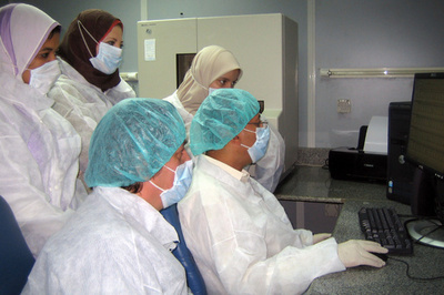 古代エジプトの王殺し、科学技術で3000年の謎解ける