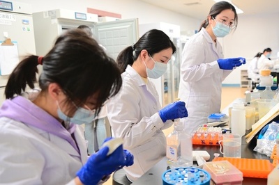 中国の科学者、アルツハイマー病の新たな治療法を開発
