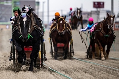 'Suspense' of slowest horse race wins new fans in Japan