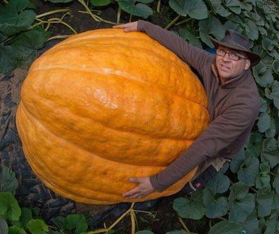 抱えきれない！320キロの巨大カボチャ ドイツ