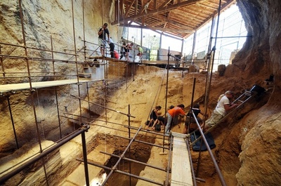 56万年前のヒトの乳歯、発掘ボランティアが発見 仏