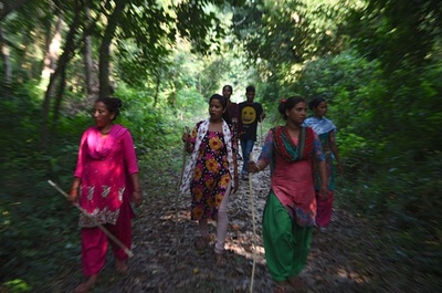 絶滅寸前のトラ、生息数倍増 カギは隠しカメラと地元住民の協力 ネパール