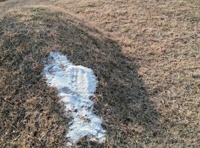 墓11基に“謎の粗塩”…韓国・ワゴン車の影に潜む不気味な2人組