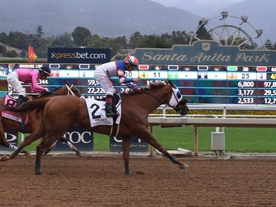 事故多発の米名門競馬場、3日間で新たに3頭死ぬ