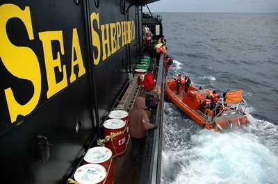 シー・シェパード抗議船、燃料切れで帰港・船長は成果を強調