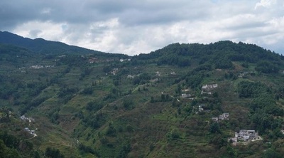 「中国一の紅茶県」を目指す中国・鳳慶 伝統の雲南紅茶を再びブランドに