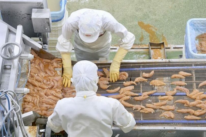 8月13日、韓国・全北特別自治道益山市のハリム工場で働く従業員＝韓国老人力開発院提供(c)NEWSIS