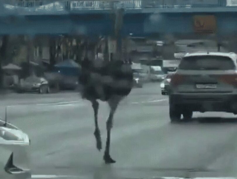 SNSのキャプチャー(c)MONEYTODAY