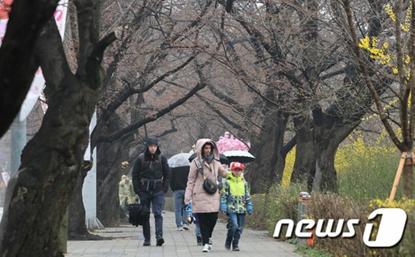 3月29日、見物客もまばらな汝矣西路(c)news1