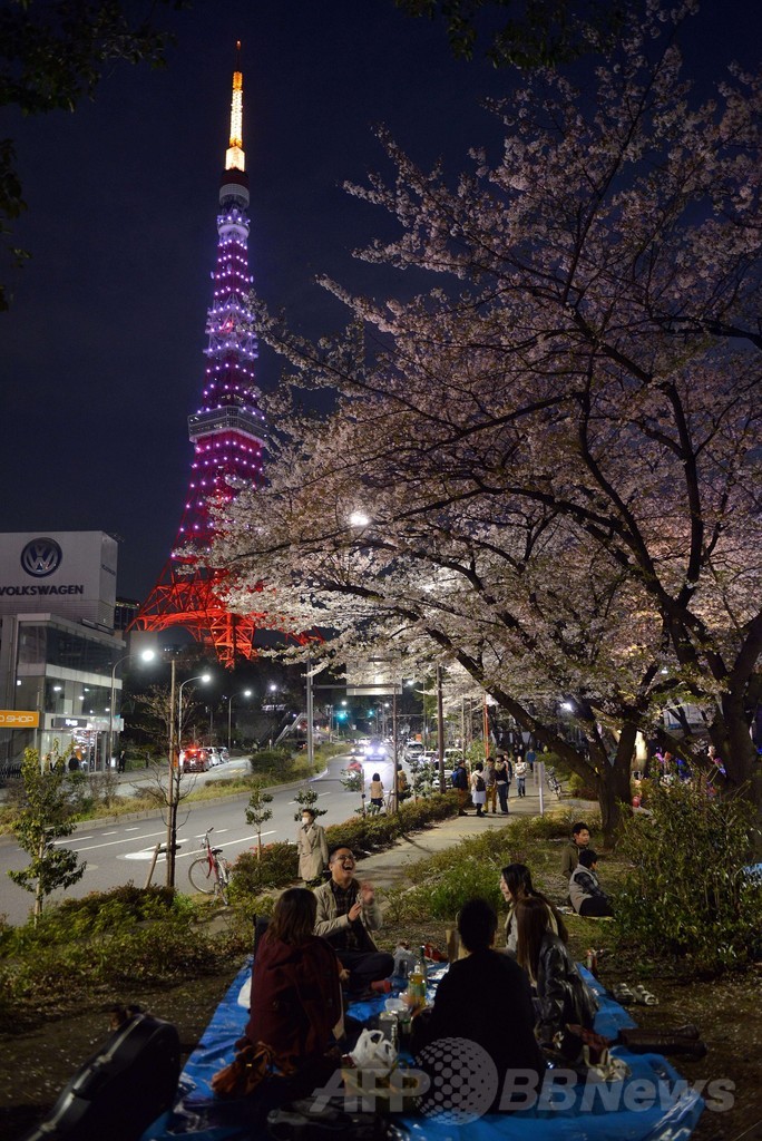 「桜色」の東京タワーと満開の桜