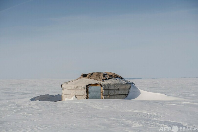 寒雪害「ゾド」のモンゴル、家畜210万頭死ぬ
