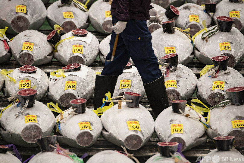 豊洲でマグロ初競り すしざんまい、コロナで最高値は「自粛」