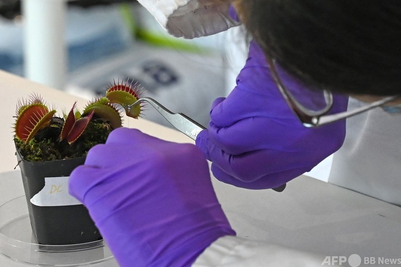 自然と技術を融合させた「ロボ植物」が現実に？ シンガポール