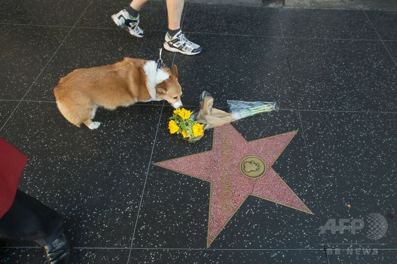 「裸の銃」シリーズの署長役、ジョージ・ケネディさん死去
