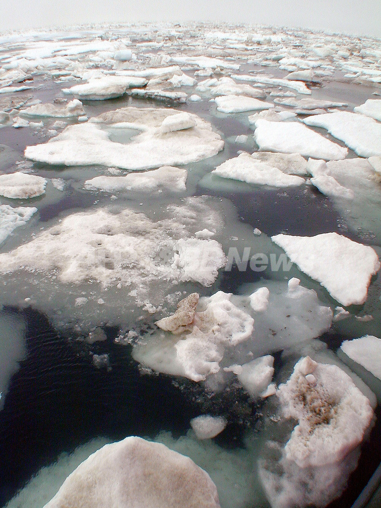 北極海の流氷は数十年で 完全消滅 影響は予測不可能 ノルウェー 写真1枚 国際ニュース Afpbb News