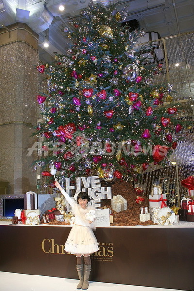 髙島屋×スワロフスキー、クリスマスプロモーション25日まで