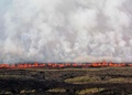 エクアドル・ガラパゴス諸島イサベラ島のウォルフ火山から流れ出る溶岩。ガラパゴス国立公園提供（2022年1月7日撮影）。(c)AFP PHOTO / GALAPAGOS NATIONAL PARK / WILSON CABRERA