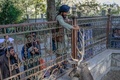 アフガニスタンのカブール動物園で鹿の枝角に触るタリバン戦闘員（2021年9月17日撮影）。(c)BULENT KILIC / AFP