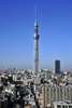 東京東部で建設中の東京スカイツリー（2011年11月17日撮影、資料写真）。(c)AFP/YOSHIKAZU TSUNO