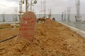 海上で亡くなった移民のための墓地。チュニジアの沿岸都市ザルジスで（2021年6月1日撮影）。(c)FATHI NASRI / AFP