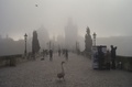 チェコの首都プラハ（Prague）で、深い霧に包まれたカレル橋（Charles Bridge）を歩くハクチョウ（2013年10月19日撮影）。(c)AFP/MICHAL CIZEK