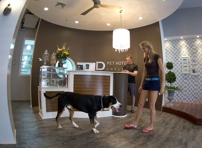 米NYに愛犬専用リゾートホテル、液晶テレビやフィットネス施設も完備