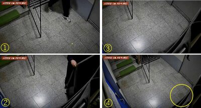 「犬の保育園」入居ビルのフロアで「立ち小便」…韓国・映像公開で批判集中「犬でも室内で排尿しない」