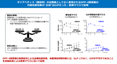 ダイアベティス（糖尿病）治療薬DPP-4阻害薬の“真の主役”はGIPだった!?