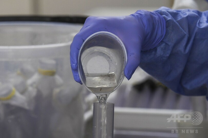 デング熱対策に有効な細菌感染させた蚊を大量放出 ブラジル