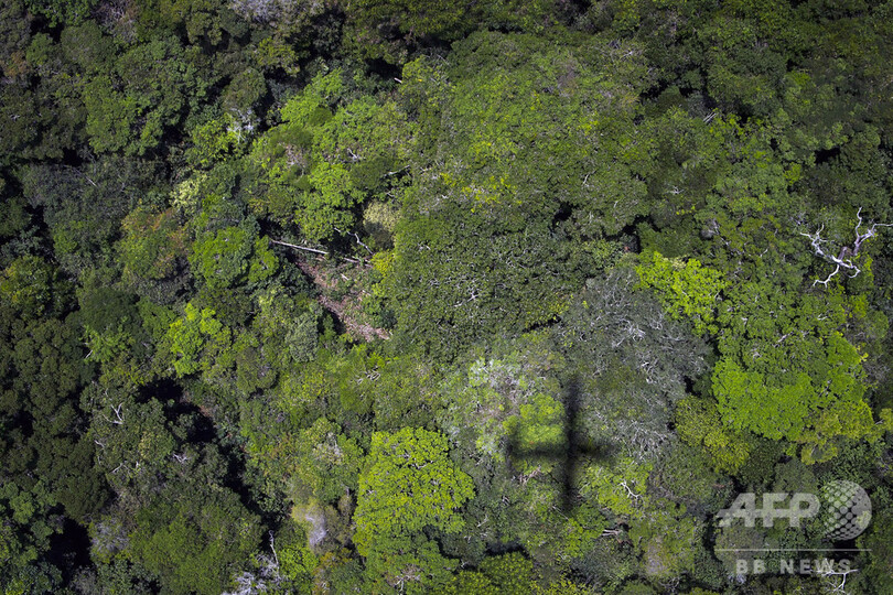 気候変動は大規模植林で緩和できる、ただし米国と同じ面積の森が必要 研究