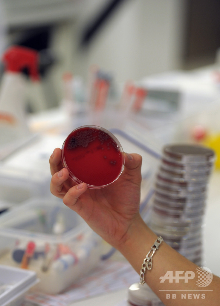 薬剤耐性菌感染、2015年欧州で3万3000人死亡 研究 薬剤耐性菌感染、2015年欧州で3万3000人死亡 研究