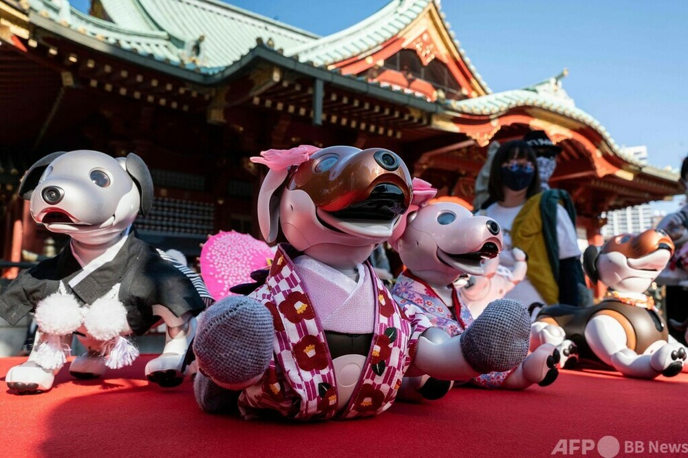 ロボット犬 Aiboの七五三 神田明神で開催 写真枚 国際ニュース Afpbb News
