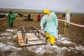 ロシア・ヤマル半島のヤルセールで、消毒作業に当たる当局者。ロシア非常事態省提供（2016年8月8日提供）。(c)AFP/Russian Emergency Ministry