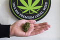 乾燥させた合法大麻草のつぼみ。スイス・ローザンヌのマリフアナ販売店「ドクター・グリーン」で（2017年4月7日撮影）。(c)AFP/FABRICE COFFRINI