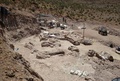 世界最大とみられる恐竜の化石が発見された、アルゼンチンのチュブト（Chubut）州ラウソン（Rawson）の発掘現場。エジディオ・フェルグリオ古生物博物館（Egidio Feruglio Paleontological Museum）提供写真（2014年5月17日提供）。(c)AFP/Museo Egidio Feruglio