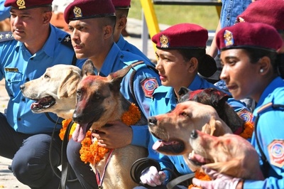 警察犬も祝福、ヒンズー教の祭り「ティハール」 ネパール